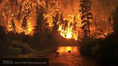 Порядка 3 млрд рублей будет выделено в РФ на борьбу с лесными пожарами