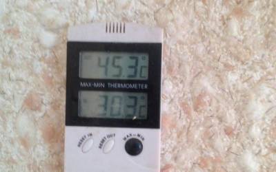 В Башкирии впервые зафиксировали 45-градусную жару