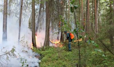 Сотрудник МЧС рассказал о лесных пожарах в Югре