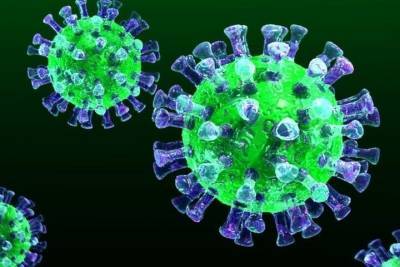 За сутки коронавирус диагностирован у 116 северян