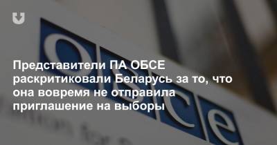 Представители ПА ОБСЕ раскритиковали Беларусь за то, что она вовремя не отправила приглашение на выборы