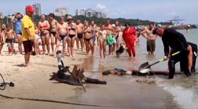 Переполох на пляже в Одессе, водолазы достали опасный предмет, видео: "Острый, как бритва" - odessa.politeka.net - Одесса