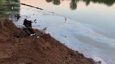 На реке в Башкирии произошел разлив топлива