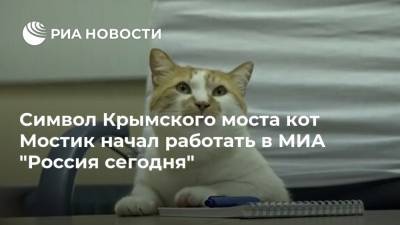 Символ Крымского моста кот Мостик начал работать в МИА "Россия сегодня"