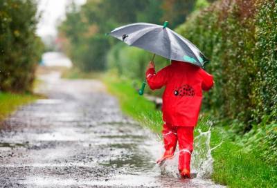 Похолодание на востоке и небольшие дожди: какая погода будет 17 июля в Ленобласти