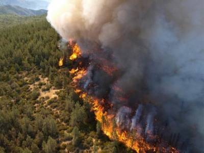 Лесные пожары в РФ: в одном из регионов огонь охватил 12 тысяч гектаров
