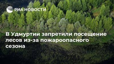 В Удмуртии запретили посещение лесов из-за пожароопасного сезона