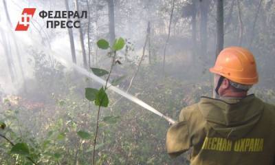 В Челябинском бору вспыхнул пожар на площади почти гектар
