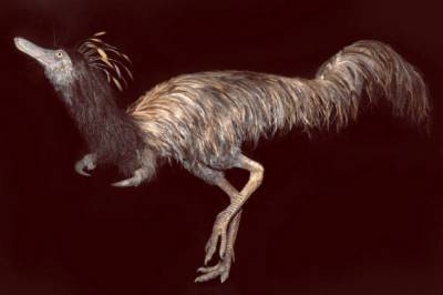 В США обнаружили лапы динозавра с одним когтем. Фото