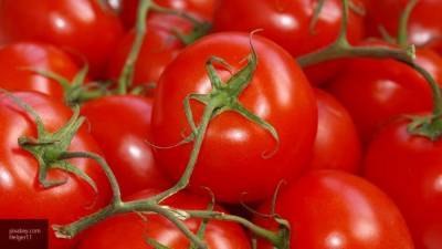 Россиян предупредили о возможном тобамовирусе в привозных томатах и перцах