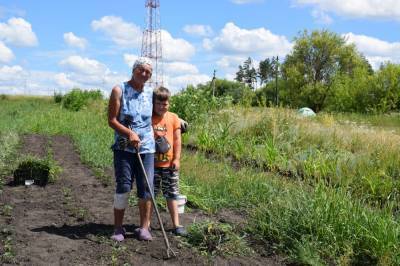 Семья из Липецкой области посадила 17 тысяч саженцев земляники