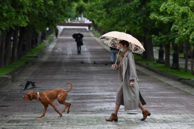 Первая половина лета в Москве выдалась самой дождливой за последние 70 лет