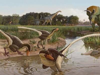 Полная пасть зубов и огромные когти: ученые обнаружили останки динозавра, жившего 66 миллионов лет назад