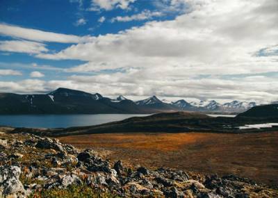 Россияне смогут получить бесплатно гектар земли в Арктике