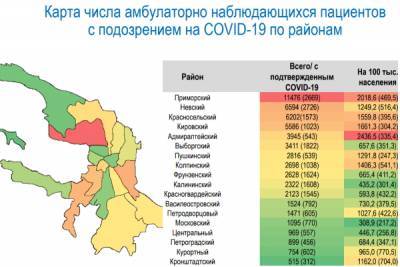 Раскрыты новые данные о числе заболевших COVID-19 в районах Петербурга