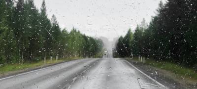 Жителей Карелии 18 июля ожидает дождливая погода