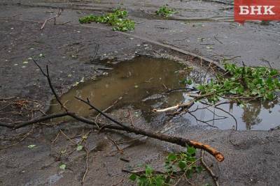 В Ухте, Сосногорске и Усть-Куломском районе ждут ливни с грозами