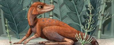Исследователи рассказали, какими были первые динозавры