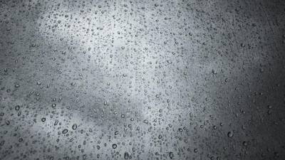 В пятницу в Ленобласти ожидаются кратковременные дожди
