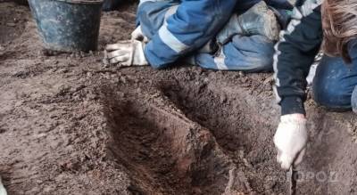 В Чувашии двое мужчин откопали старинные монеты, теперь их ожидает суд