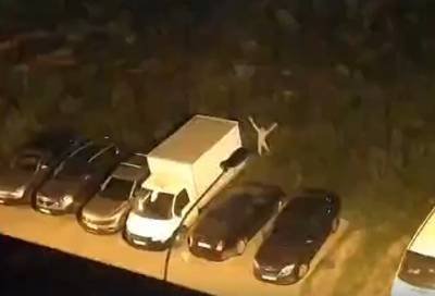 Прыжки по машинам и танцы у фонаря: голый мужчина нарушил ночной покой жителей Мурино