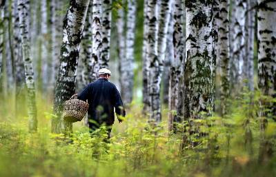 В Смоленской области потерялся еще один пенсионер