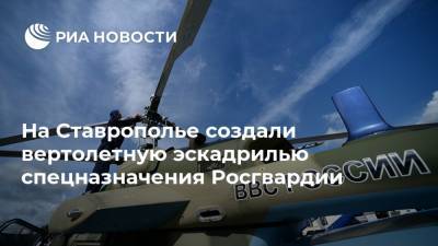 На Ставрополье создали вертолетную эскадрилью спецназначения Росгвардии