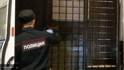 Полиция задержала 17 пикетчиков, поддерживающих фигурантов дела "Нового величия" в Москве