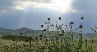 Сельхозработы в приграничных селах Армении приостановлены из-за обстрелов