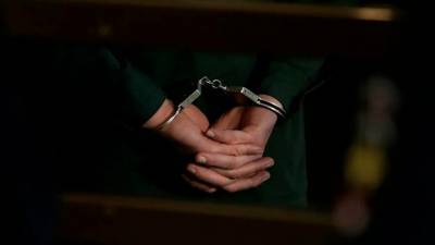 Суд в Москве арестовал трёх фигурантов дела о торговле детьми