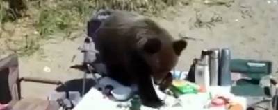 В Магаданской области медвежонок пообедал вместе с рыбаками