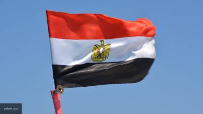 Ливийские шейхи надеются на братскую помощь Египта в борьбе с турецкими оккупантами