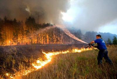 За сутки в России ликвидировали более 100 лесных пожаров