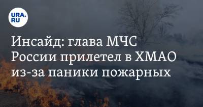 Инсайд: глава МЧС России прилетел в ХМАО из-за паники пожарных