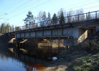 Грузовой поезд откинул 4-летнюю девочку с моста в реку: трагедия в Ленобласти