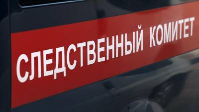 В Красноярске возбудили дело о похищении четырехлетнего мальчика