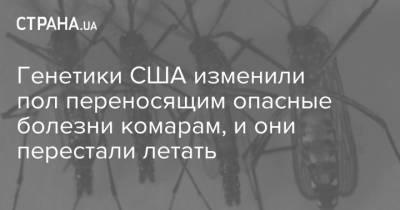 Генетики США изменили пол переносящим опасные болезни комарам, и они перестали летать