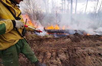 Глава МЧС назвал причину лесных пожаров в Сибири