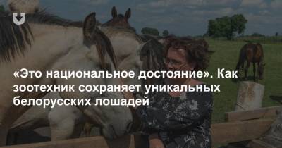 «Это национальное достояние». Как зоотехник сохраняет уникальных белорусских лошадей