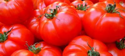Импортные помидоры и перец станут подвергать проверке на вирус