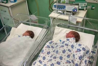 Сразу три двойни родились в перинатальном центре Краснодара 16 июля