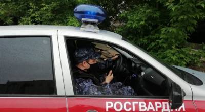 Преступницу, находящуюся в федеральном розыске взяли под Ярославлем: подробности