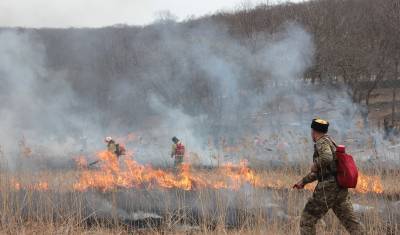 Количество лесных пожаров в Югре за год увеличилось в 2,5 раза