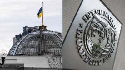 Палица предрек Украине новые проблемы из-за сотрудничества с МВФ