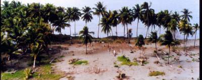 Угрозу цунами у берегов Папуа-Новой Гвинеи после землетрясения сняли