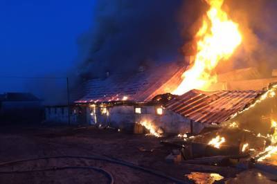 Пламя охватило ферму на Одесчине, погорели десятки животных: кадры и детали