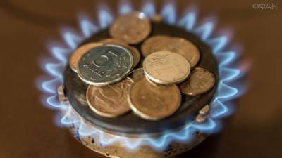 Экономист объяснил необходимость повышения цены на газ в РФ с 1 августа