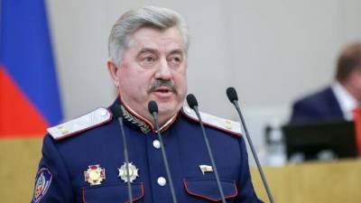 Депутат Госдумы призвал жестко наказывать зачинщиков хабаровских протестов