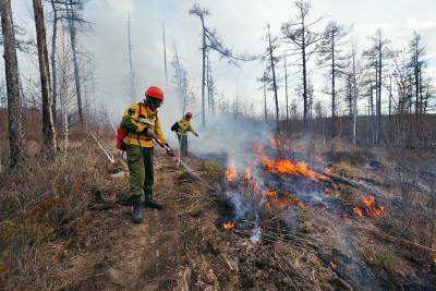 Площадь лесных пожаров в Югре превысила 14 тысяч гектаров