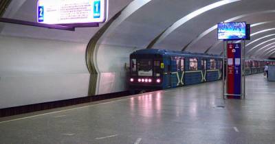 81-летняя женщина погибла, упав под поезд метро в Москве